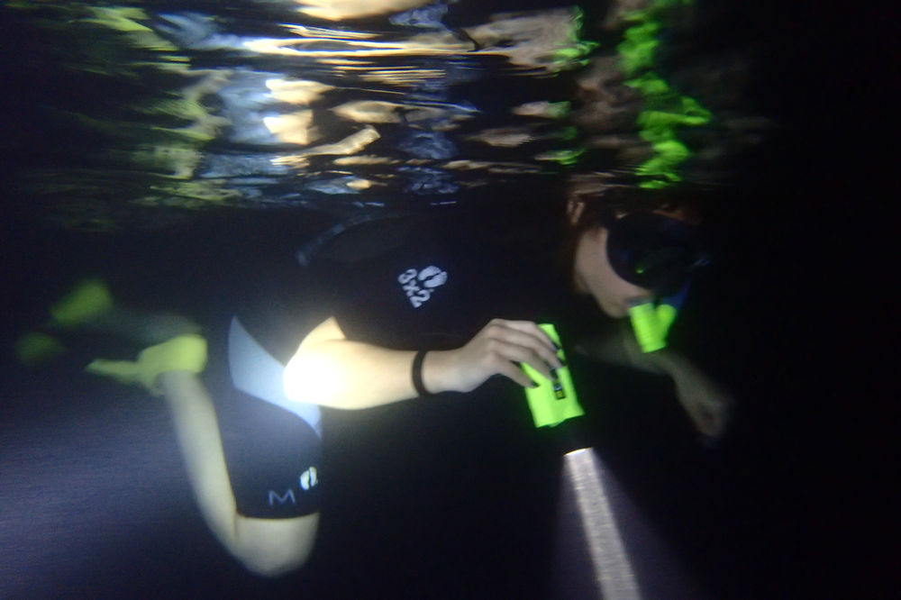 Night Snorkeling In Maui!