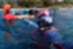 Non Swimmer Snorkeling Kaanapali maui