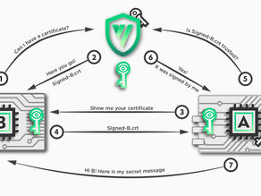 VivaPKI - Vivacity’s Certificate Authority