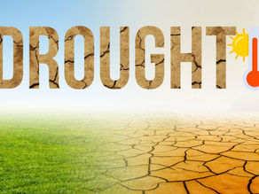 Tech and Drought