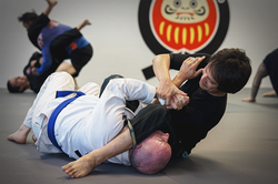 cinematic4x6 - daruma 562