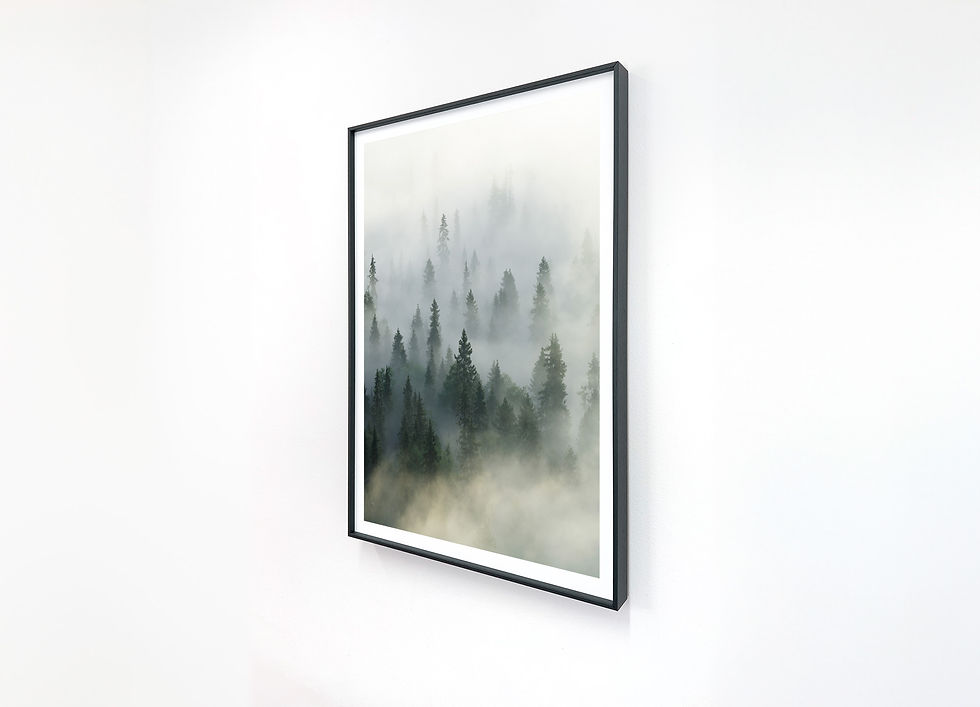 Thumbnail: Misty Trees II