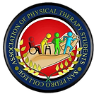 Association of Physical Therapy.png