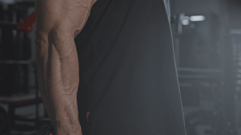 ezgif-7462d54c828918.gif