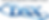 DSX White Logo.png