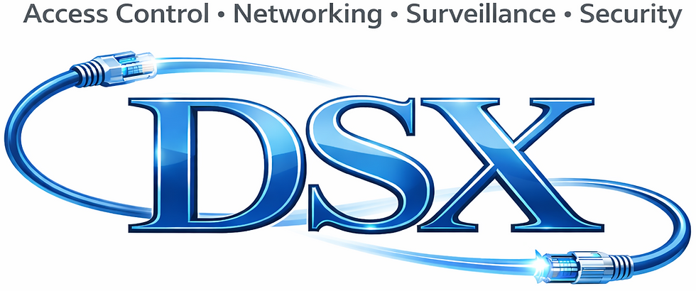 DSX White Logo.png
