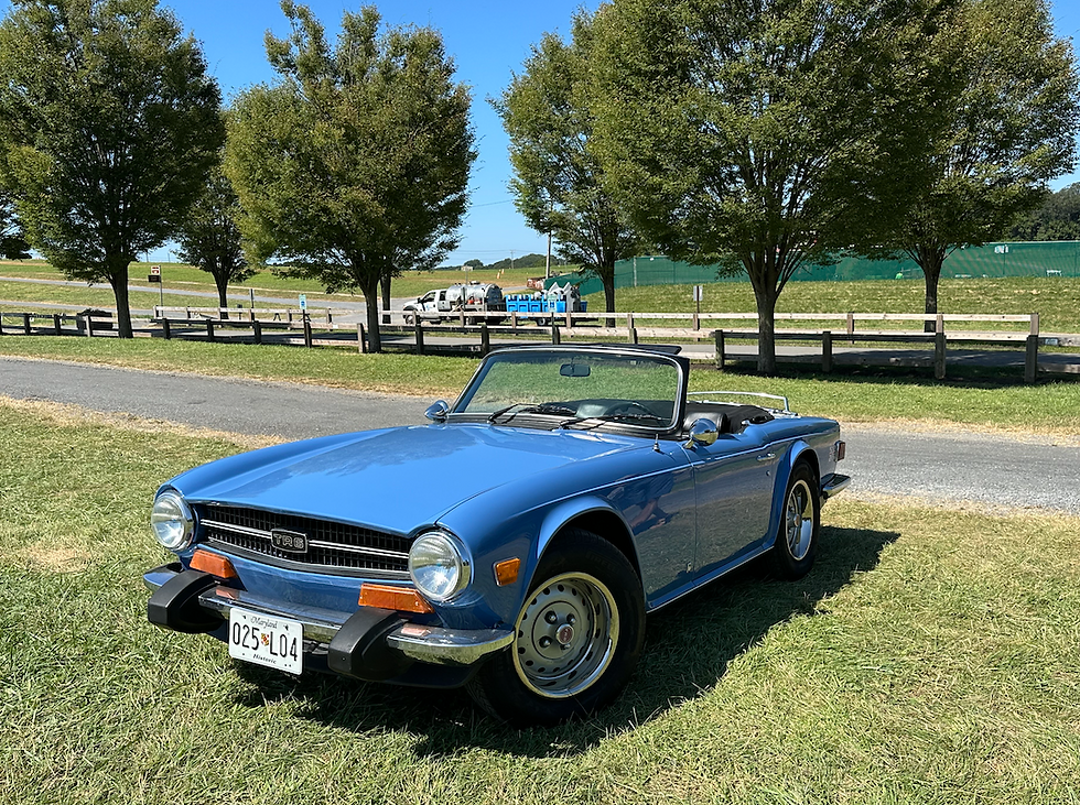 We arrived one day too late to the county fair so despite missing the event we did get to see this cute vintage convertible. I would love a vintage car where I can drive around the country roads with the top down with Elsa Fitzgerald fashion.