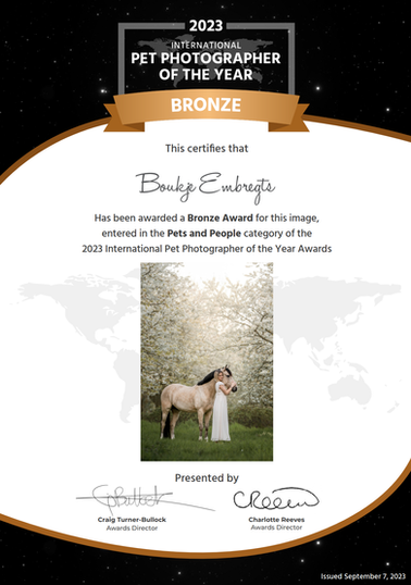 Award winnende paardenfotograaf Boukje Embregts
