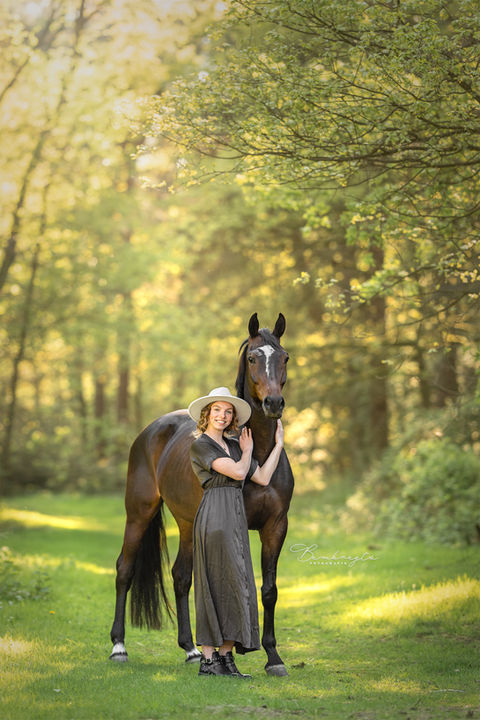 Paardenfotoshoot Loon Op Zand Eindhoven Tilburg