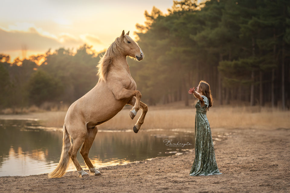 Bembregts Fotografie - paardenfotoshoot aan huis Eindhoven Loon Op Zand