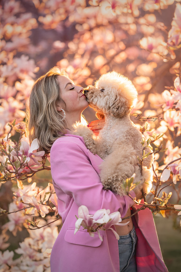 Honden fotoshoot Tilburg Loon Op Zand Eindhoven
