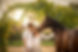 Paarden fotoshoot Eindhoven Tilburg Drunen Waalwijk Breda