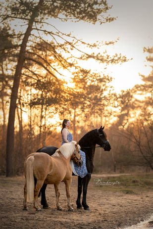 Fotoshoot met je paard aan het water