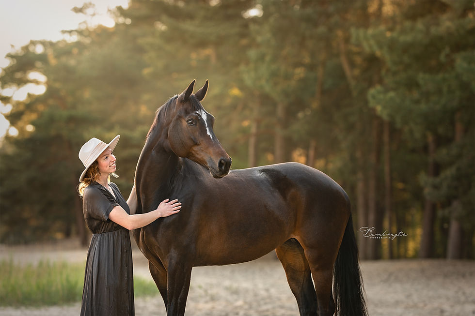 Workshop magische paardenfotografie
