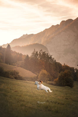 Paardenfotografie fotoreis buitenland Oostenrijk