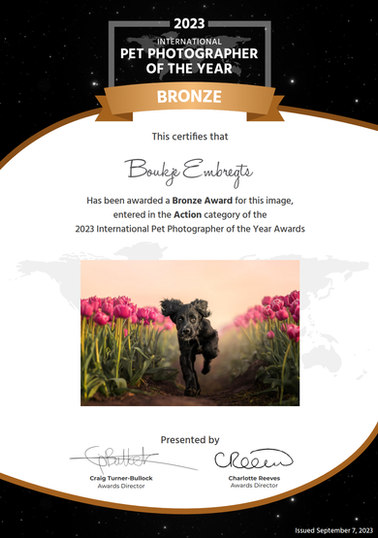 Award winnende hondenfotograaf Boukje Embregts