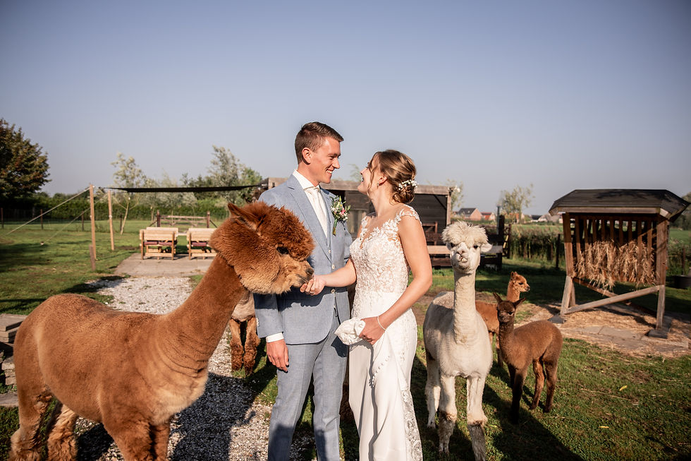 Trouwfotografie klooster hotel willibrordhaeghe Deurne