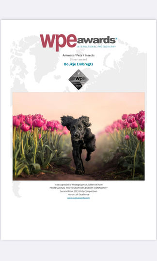 Award winnende hondenfotograaf Boukje Embregts