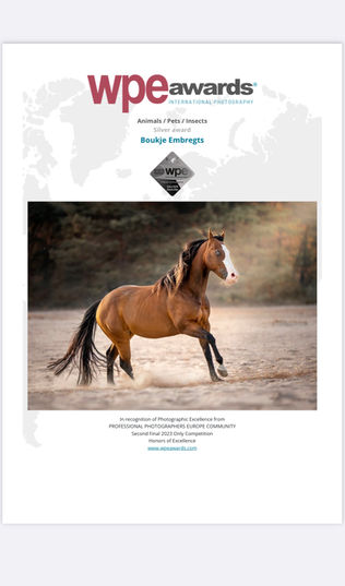 Award winnende paardenfotograaf Boukje Embregts