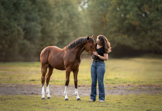 Paardenfotoshoot Loon Op Zand Eindhoven Tilburg