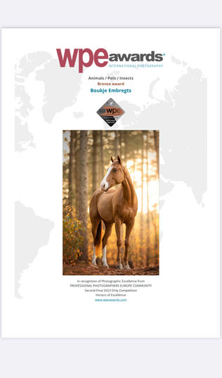 Award winnende paardenfotograaf Boukje Embregts