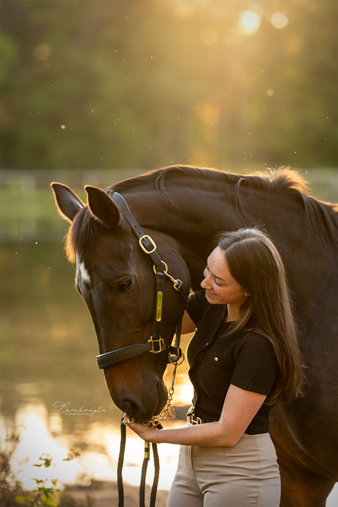 Paardenfotoshoot Loon Op Zand Eindhoven Tilburg