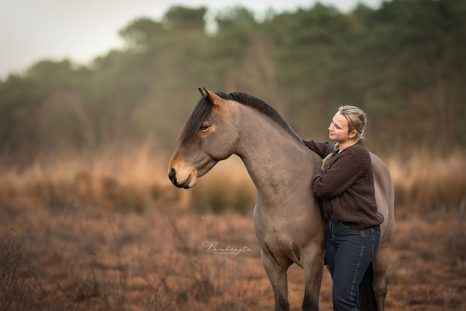 Paarden fotoshoot op de heide