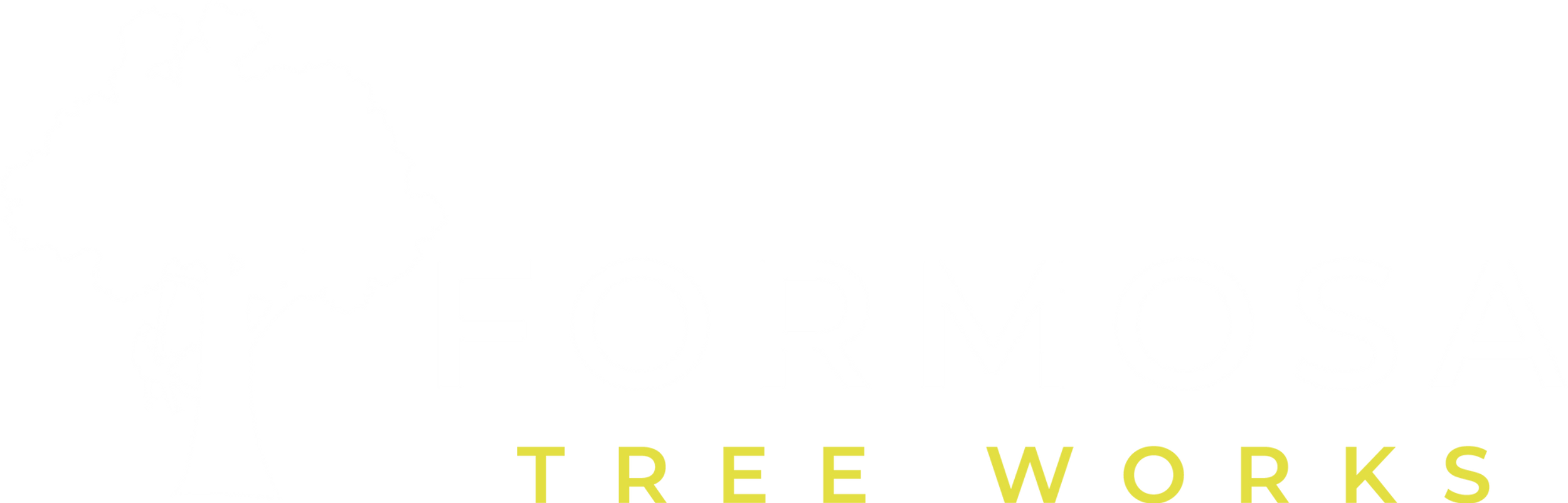 Formosa Rice Tree About | Formosa Tree Works