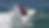 image (8).png