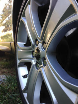 12088220_1647006822248003_2516536454808661669_n