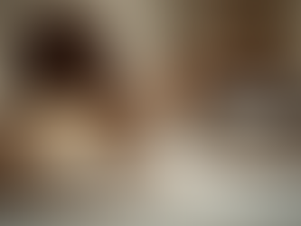 Choosing the Right Cat Rescue Organization: Trusted Cat Rescue Practices for Northern Nevada