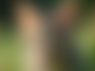 Adopt a Cat: Find Your Perfect Feline Companion