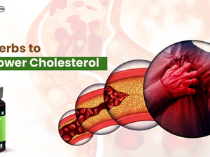 Best Herbal Supplement for Lowering Cholesterol