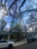 unnamed.jpeg