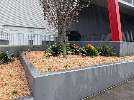 The Hidden Costs of Cheap Contractors in Strata Maintenance