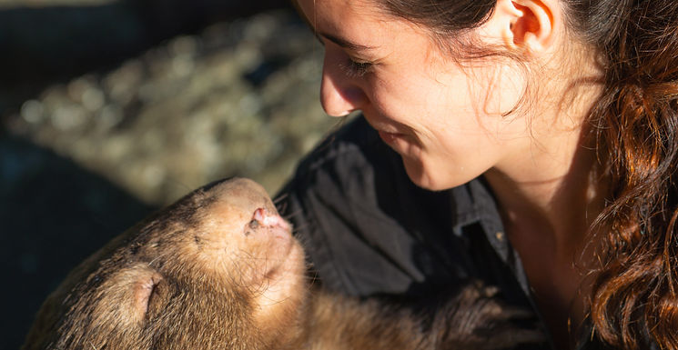 zoo keeper holding a wombat