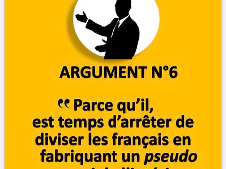 POURQUOI VOTER POUR L'UDMF 