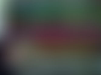 La langue arabe en Allemagne