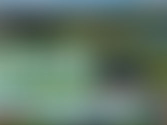 Mentor to Host Annual Earth Day Celebration at Springbrook Gardens Park