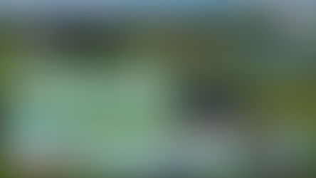 Mentor to Host Annual Earth Day Celebration at Springbrook Gardens Park