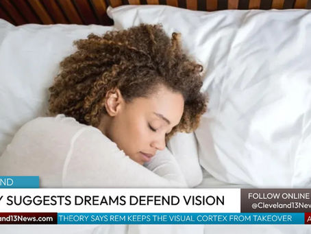 New Theory Suggests Dreams Are the Brain's Defense Against Going Blind