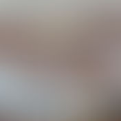 Sandusky Bay Pancake House Serves Local Flavors and From-Scratch Breakfast Classics