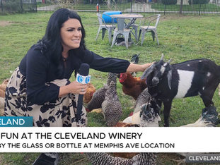 Local Cleveland Winery Creates a Space for Wine Lovers and Animal Enthusiasts