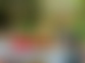 Cleveland Travelers Uncover Hidden Savings at Disney Resorts