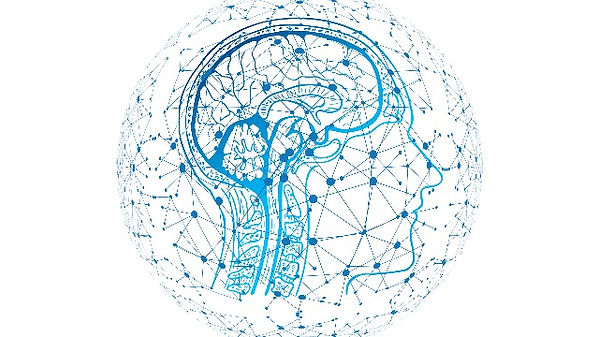 Brain Computer Interface Project.jpeg