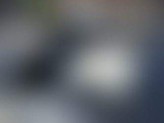 Toiture plate prête pour panneaux solaires à Seraing (chantier terminé)