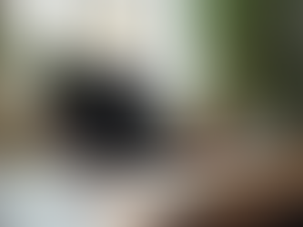 Essential Skills for Success in Remote Work Environments