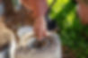sewer cleanout access unblock drain sydney nsw