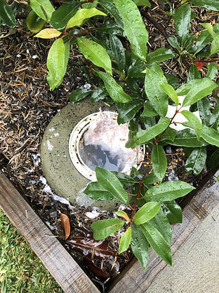 Blocked sewer pipe Plumber Sydney