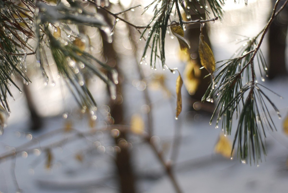 Crystal Needles I
